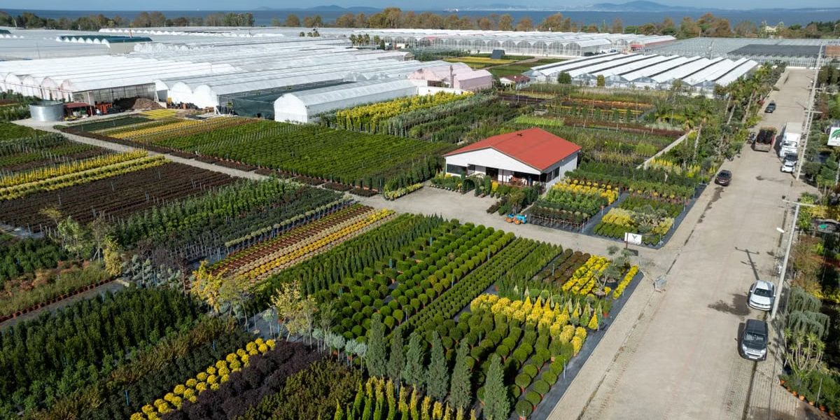 Sprawling greenhouses and fields in Yalova, Türkiye, captured from above on a clear day.