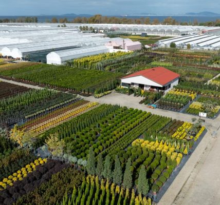 Sprawling greenhouses and fields in Yalova, Türkiye, captured from above on a clear day.