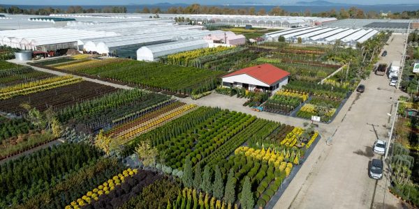 Sprawling greenhouses and fields in Yalova, Türkiye, captured from above on a clear day.